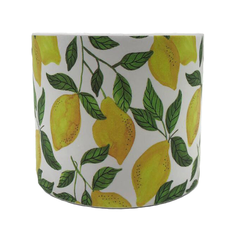 Juicy Planter - 4"
