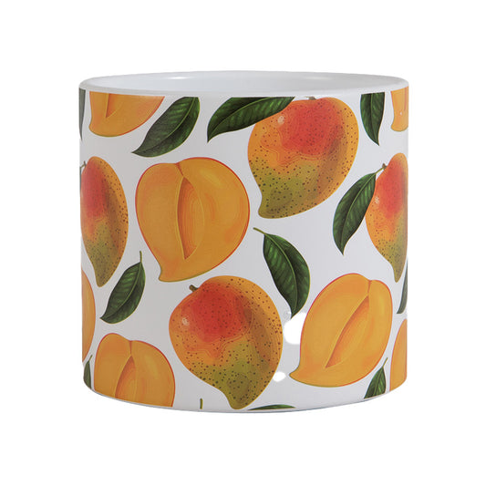 Juicy Planter - 4"