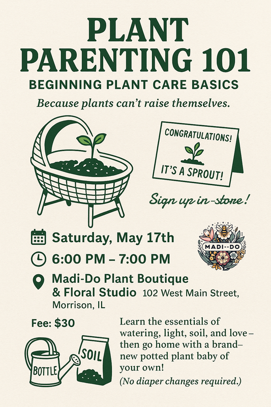 Plant Parenting 101: Beginning Plant Care Basics - May 17, 6–7 PM