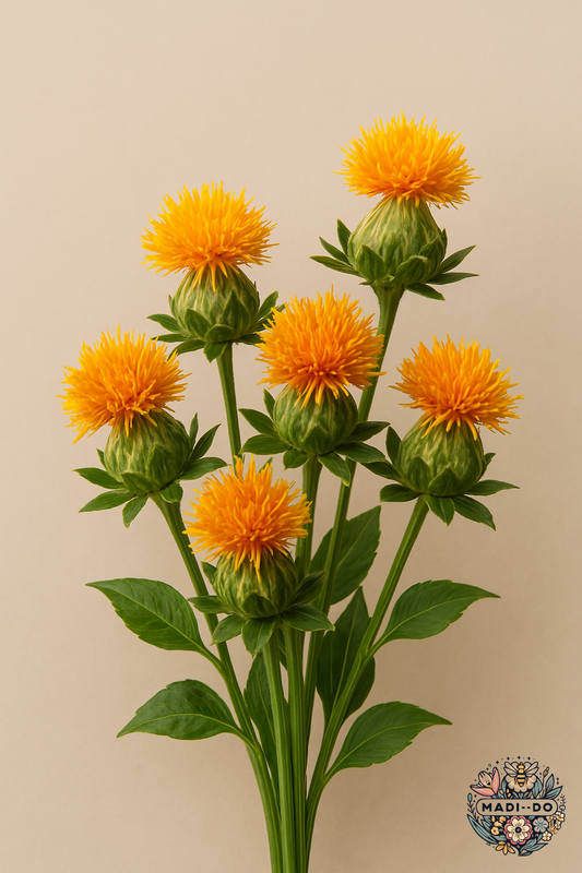 Safflower
