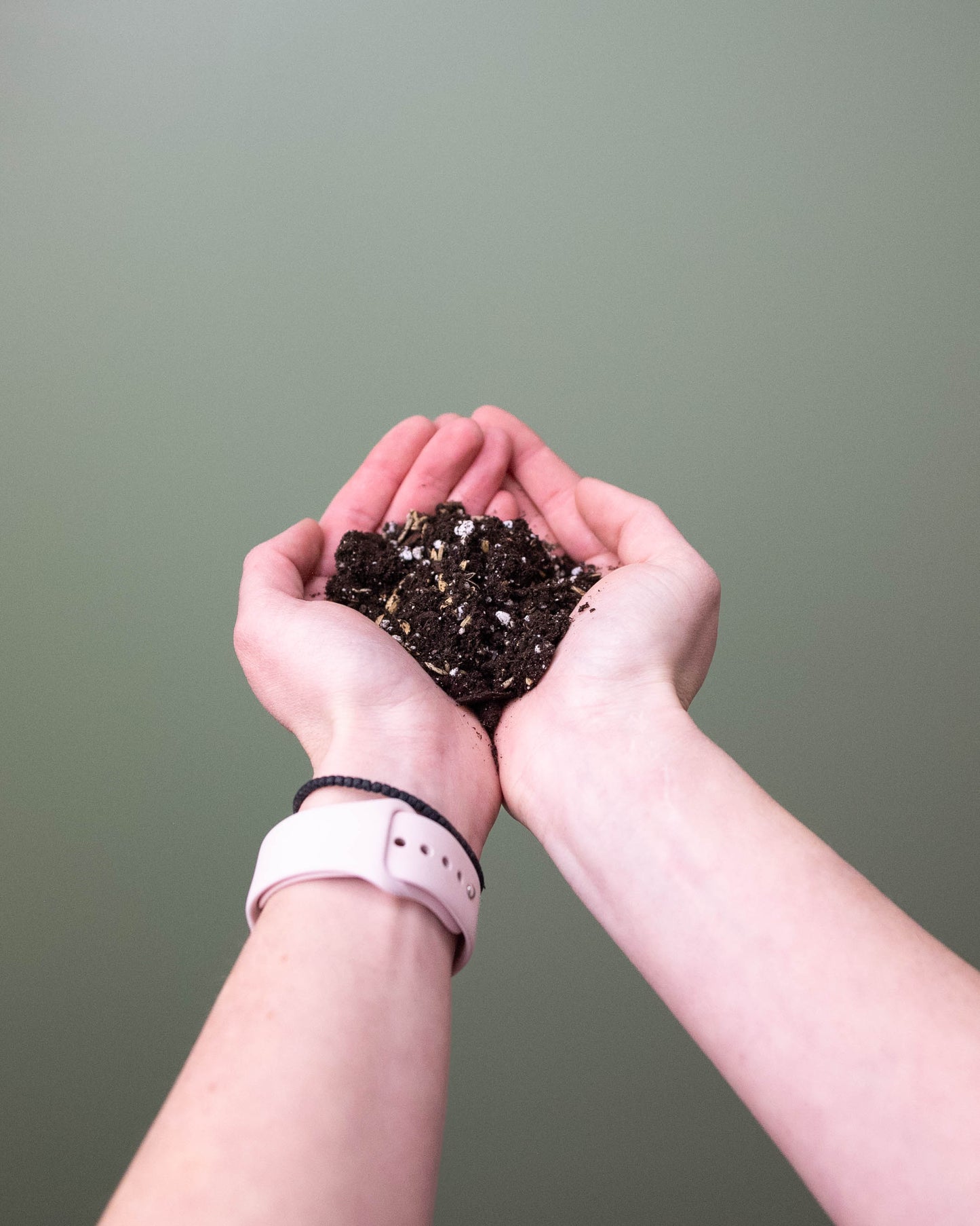 All Purpose Potting Mix